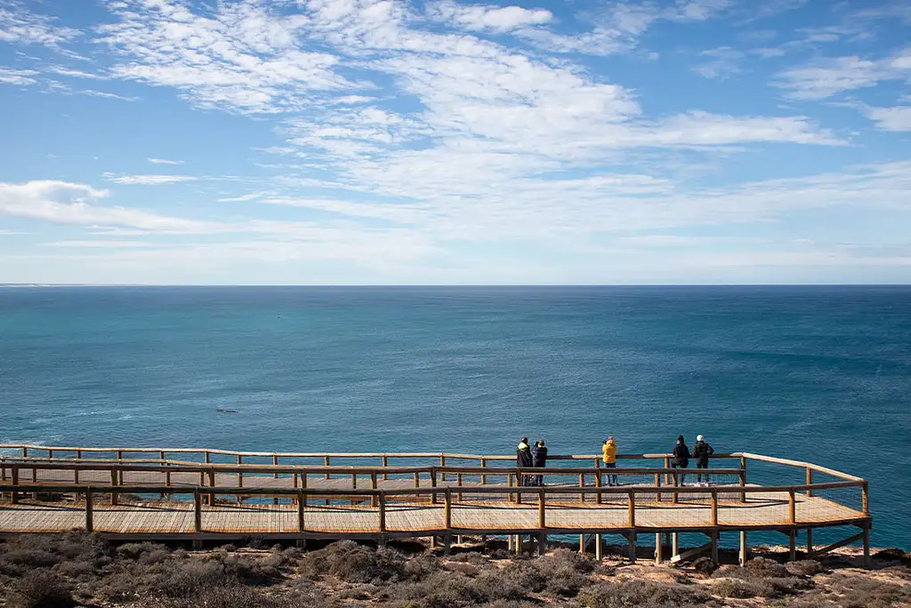 9 Day Eyre Peninsula Adventure | Intrepid Tour