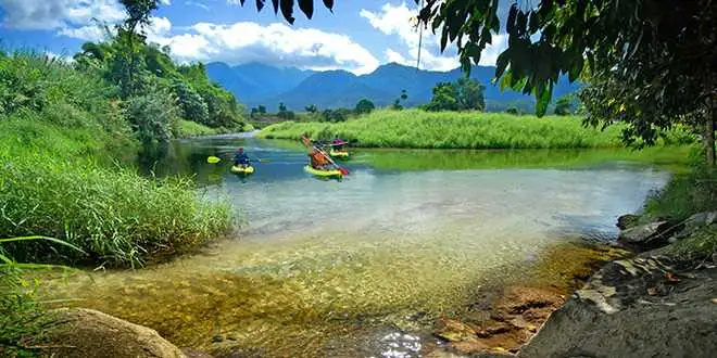 Half Or Full Day Kayak Hire In Babinda