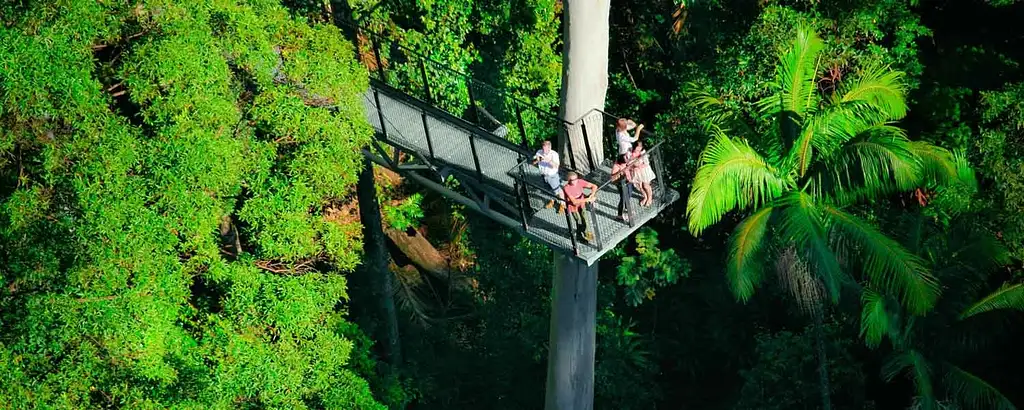 Mt Tamborine Rainforest Skywalk + Hop on Hop Off Pass from Gold Coast