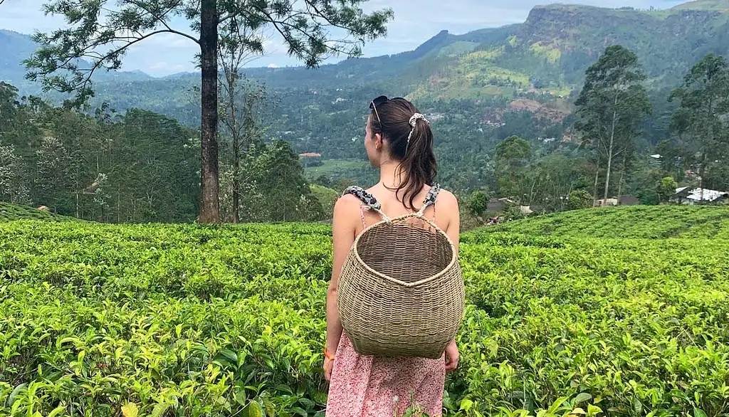 24 Day India & Sri Lanka Experience | Intro Travel