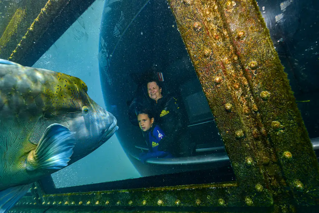 Cairns to Great Barrier Reef Cruise | Reef Magic Cruises