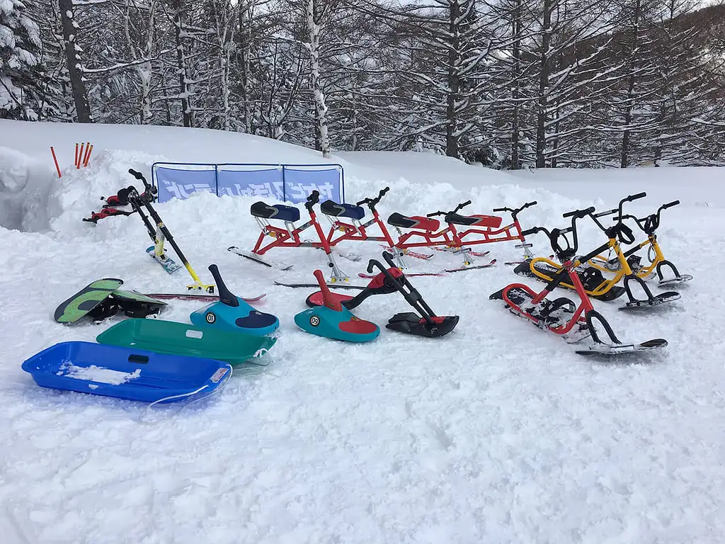 Snow Monkeys & Snow Fun In Shiga Kogen, 1 Day Tour