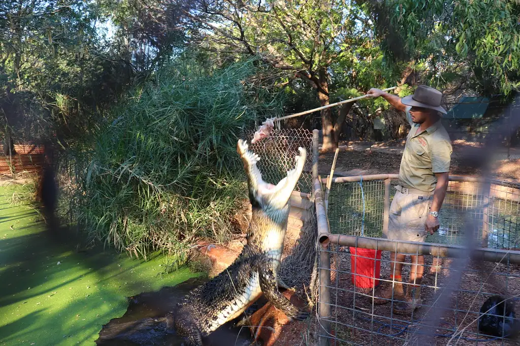 Broome 3-in-1 Tour | Matso's Broome Brewery | Broome Museum | Malcolm Douglas Crocodile Feeding Tour