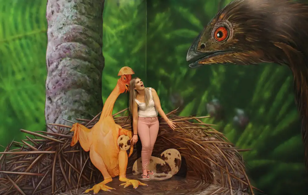 3D Trick Art Gallery Rotorua