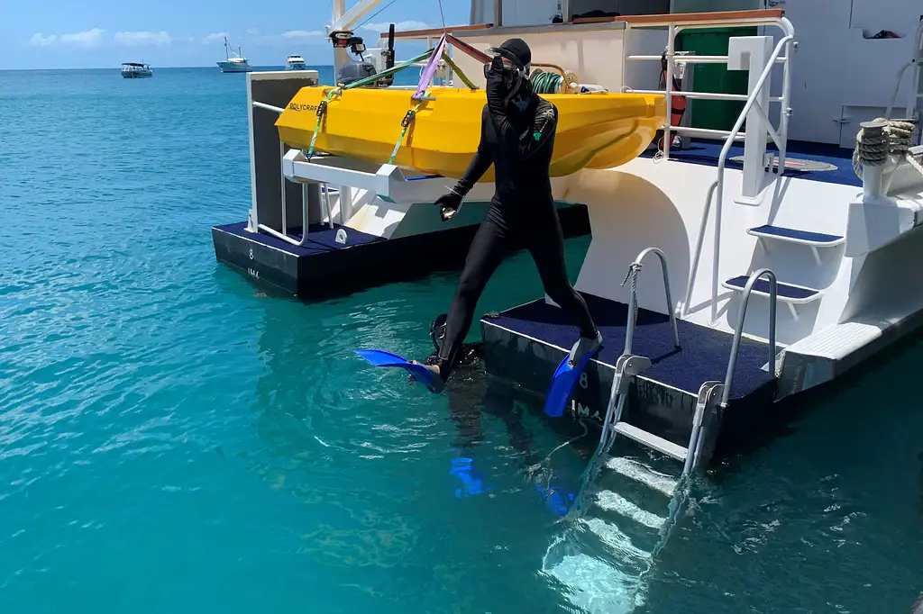 Reef & Island Day Tour | Outer Barrier Reef & Dunk Island | From Mission Beach