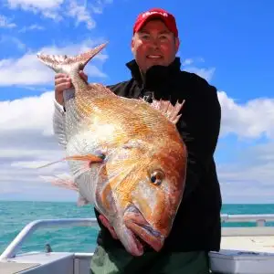 Waiheke Wine & Fishing Tour
