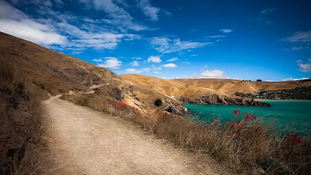 Christchurch Half-Day Guided Crater Rim Walk
