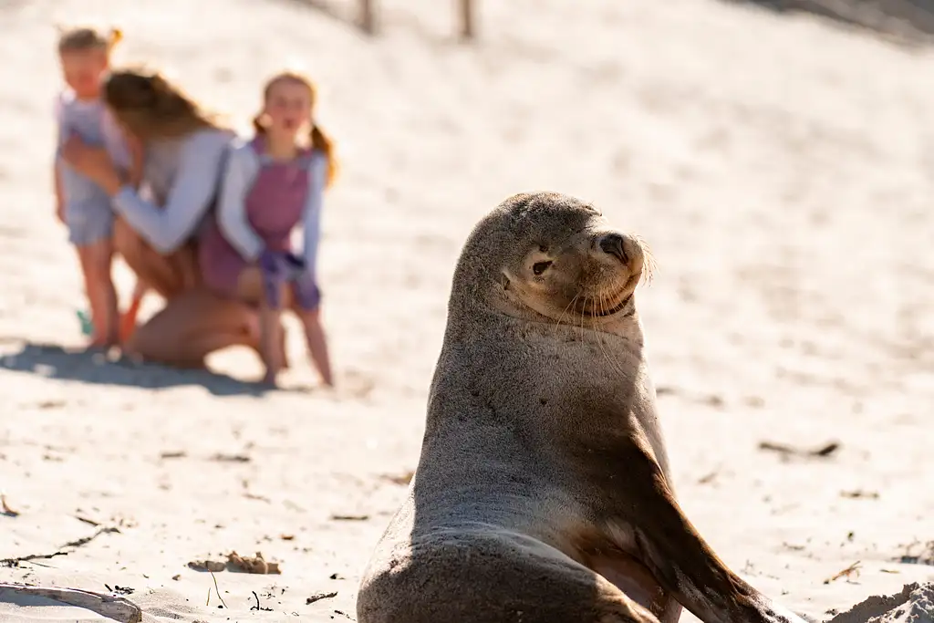 3 Day Kangaroo Island Adventure Tour | Small Group Tour from Adelaide