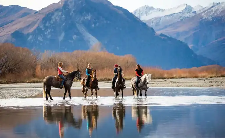 13 Day Backyard Beauties Tour | Ex Wellington | New Zealand Tour