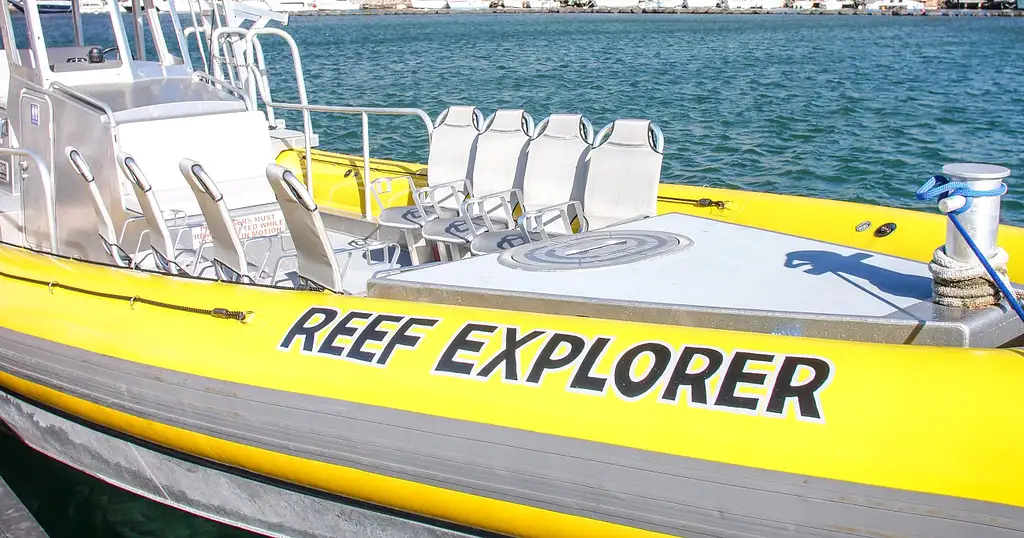 Molokini Crater & Turtle Cove Snorkel Tour