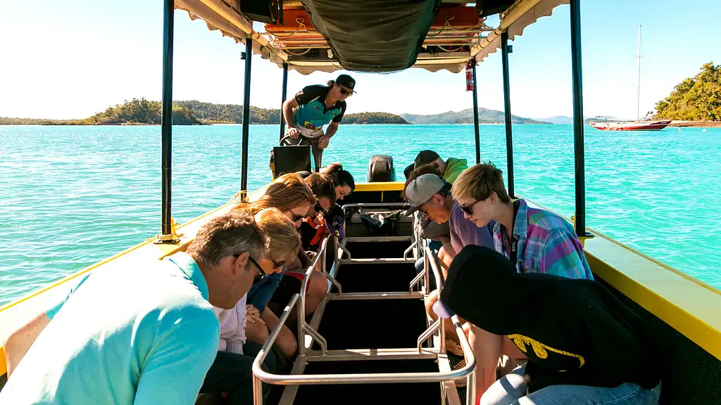 Glass Bottom Boat Tour | From Shute Harbour