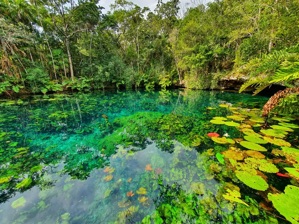 Tulum Jungle Adventure