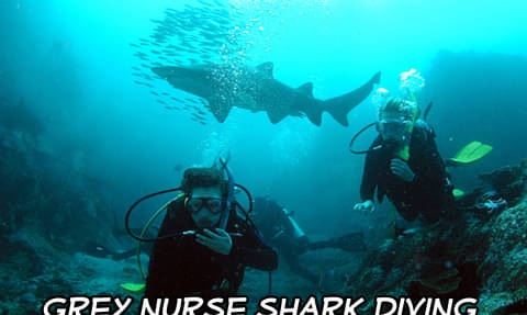 learn-to-dive-australia