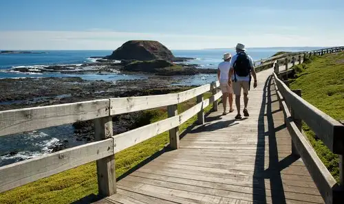 Phillip Island Penguin Parade Express Tour