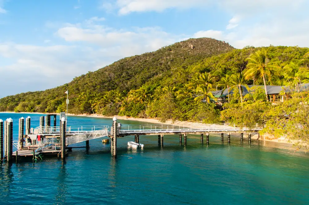 Fitzroy Island SUP & Snorkel