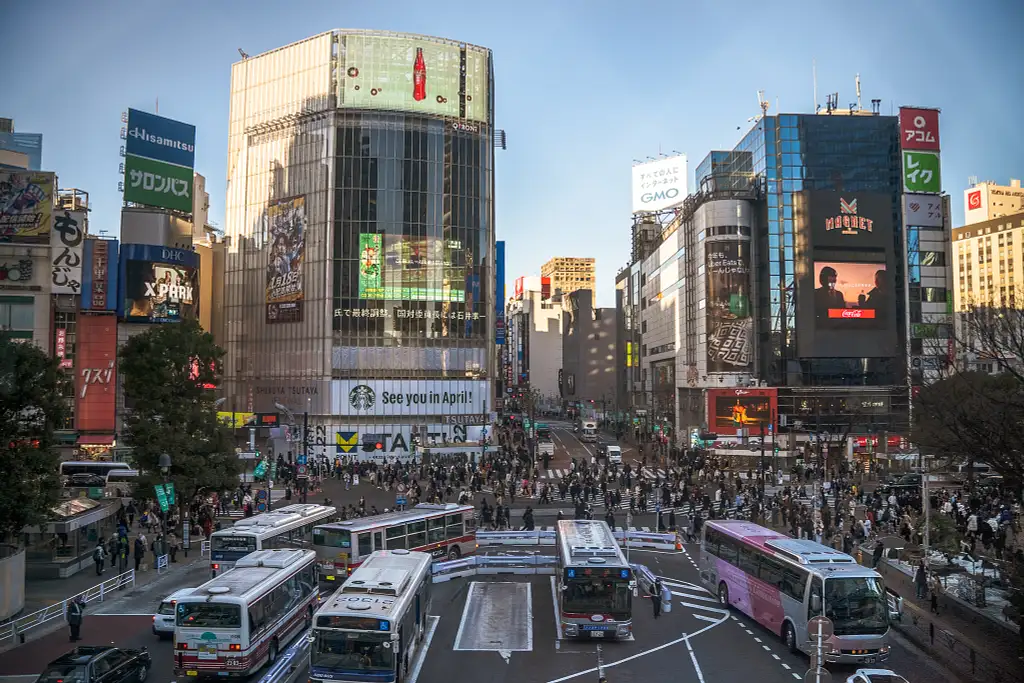 4 Day Tokyo Snapshot Tour | One Life Adventures