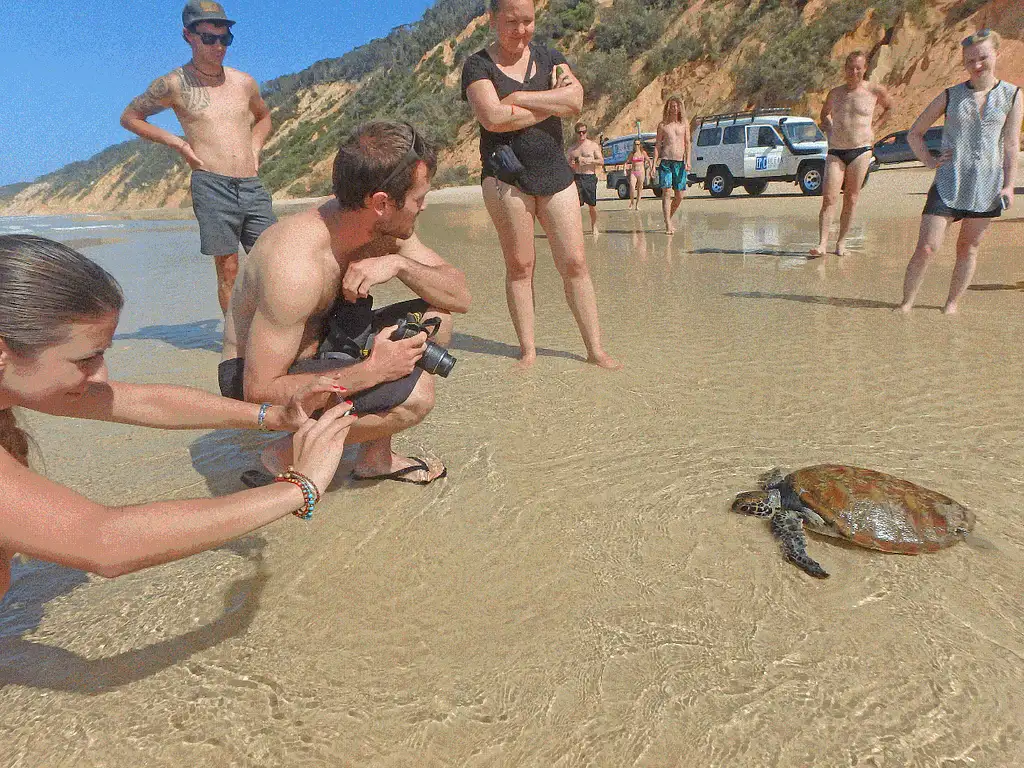 Stand Up Paddle Lesson Double Island & Beach 4x4 | Rainbow Beach Tour