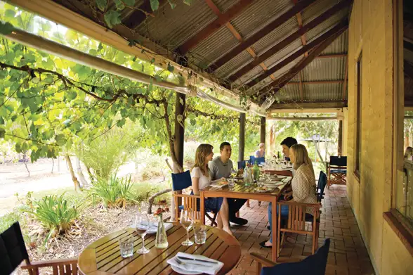 McLaren Vale North Hop-on Hop-off Tour