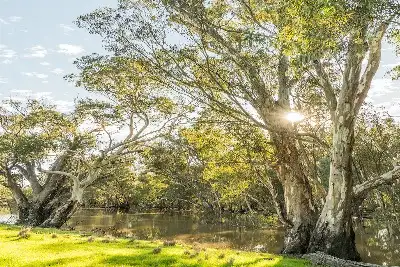 4 Night Murray River Explorer Cruise