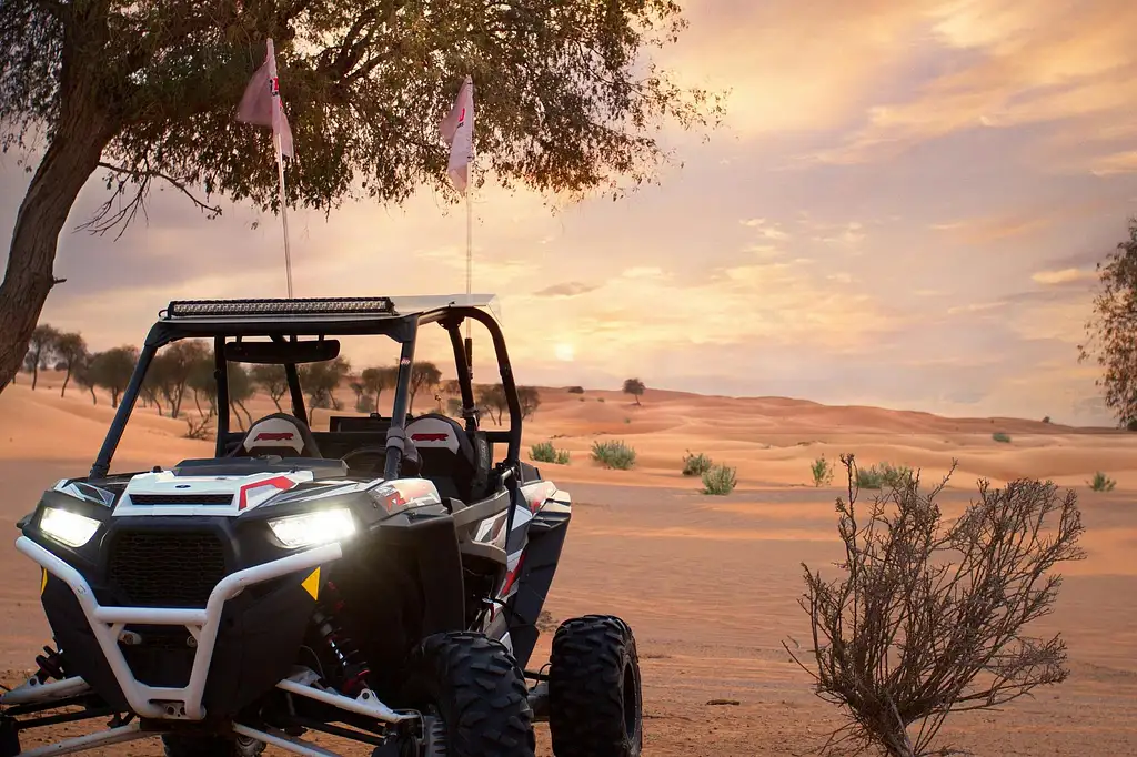 Half-day Dune Buggy Experience In Dubai