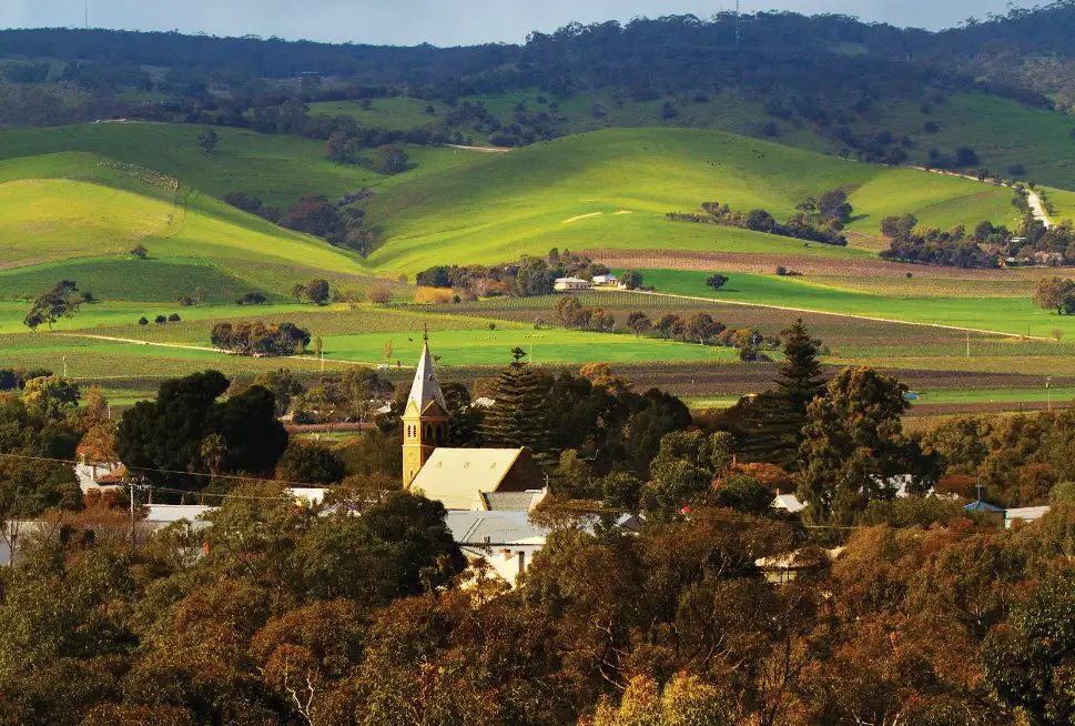 Barossa Valley Hop-on Hop-off Tour