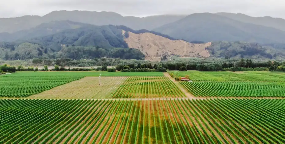 11 Day Takahe Tour | Christchurch to Christchurch | Stray