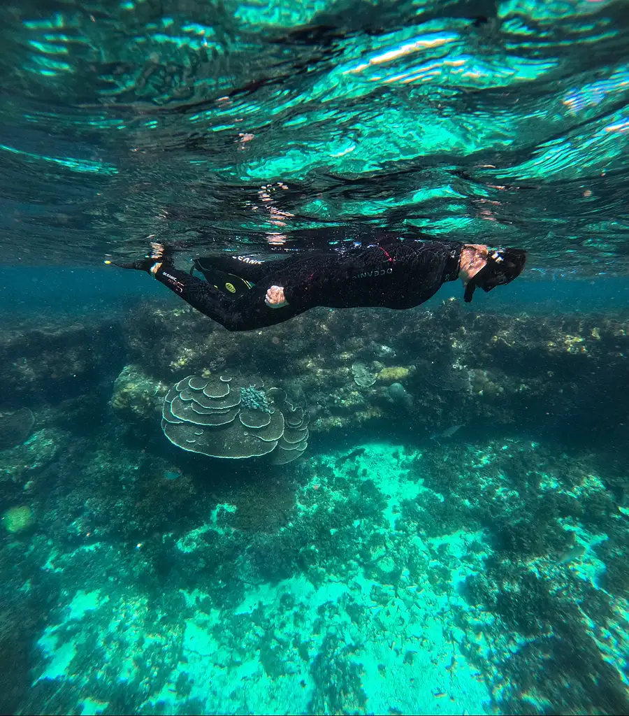 Jurien Bay Marine Park Experience