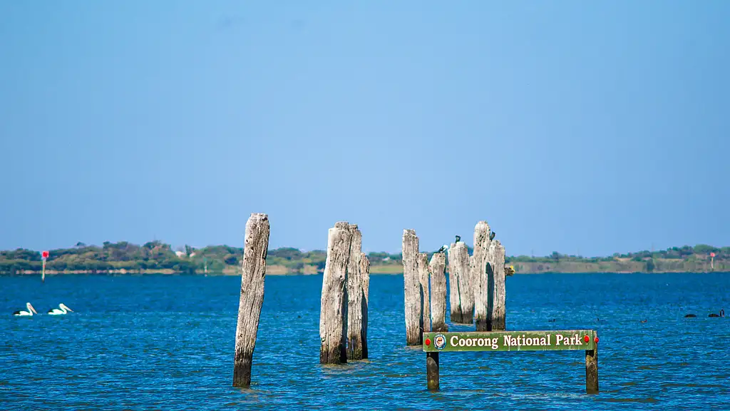 Murray Mouth River Cruise & Tour