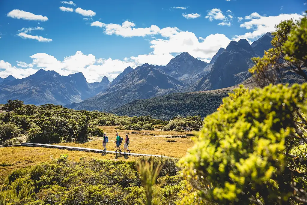 3 Day Fiordland Great Walk Package | 3 Hikes from Te Anau