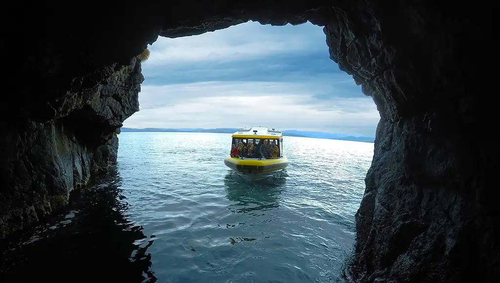 2.5 Hour Lighthouse And Island Cruise From Hobart - Iron Pot