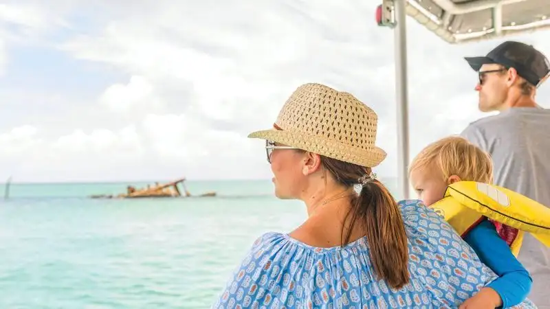 Marine Discovery Day Cruise with option to upgrade to Dolphin Feeding | Moreton Island