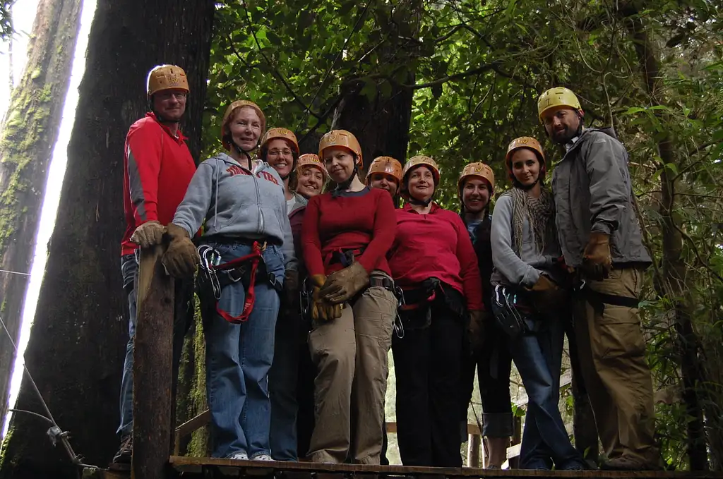 Canopy Adventure from San José