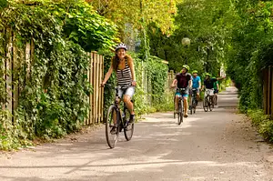 Montreal Family Bike Rental