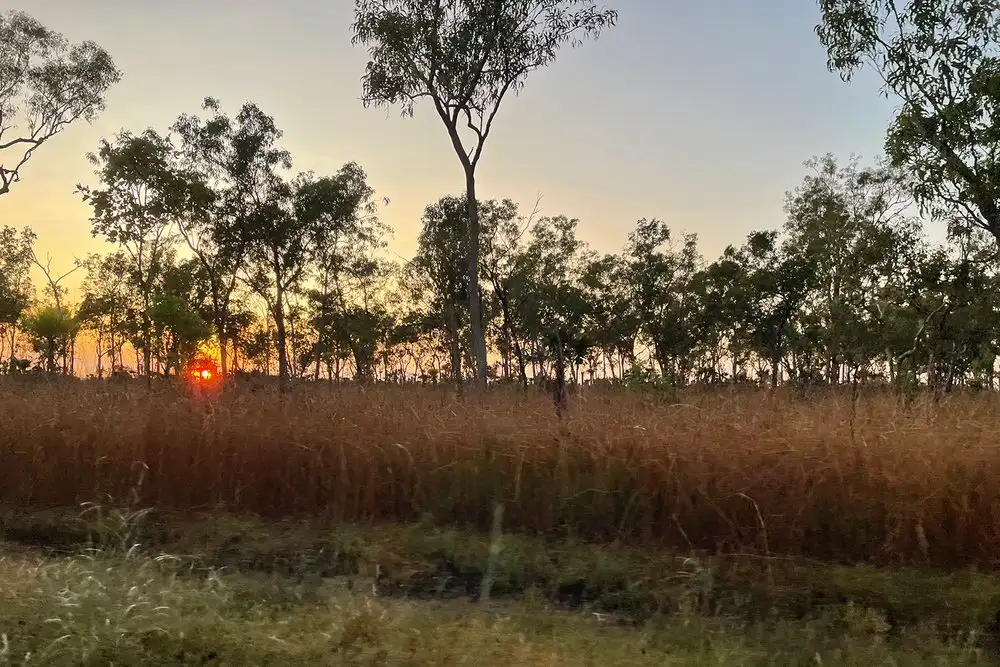 3 Day Kakadu Cultural Rock Art Experience