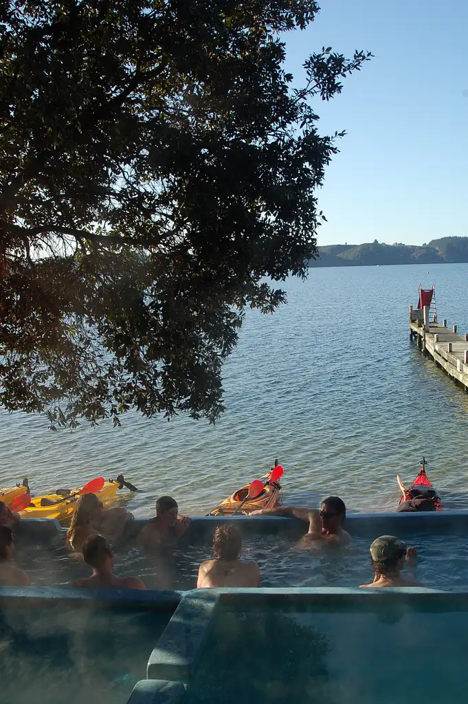 Scenic Lake Rotoiti Kayak Tour