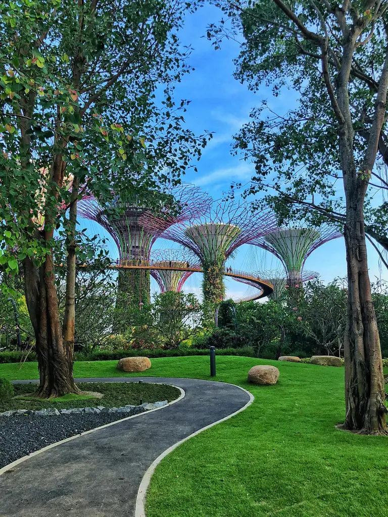Gardens by the Bay Tour with Supertrees, Flower Dome and Cloud Forest
