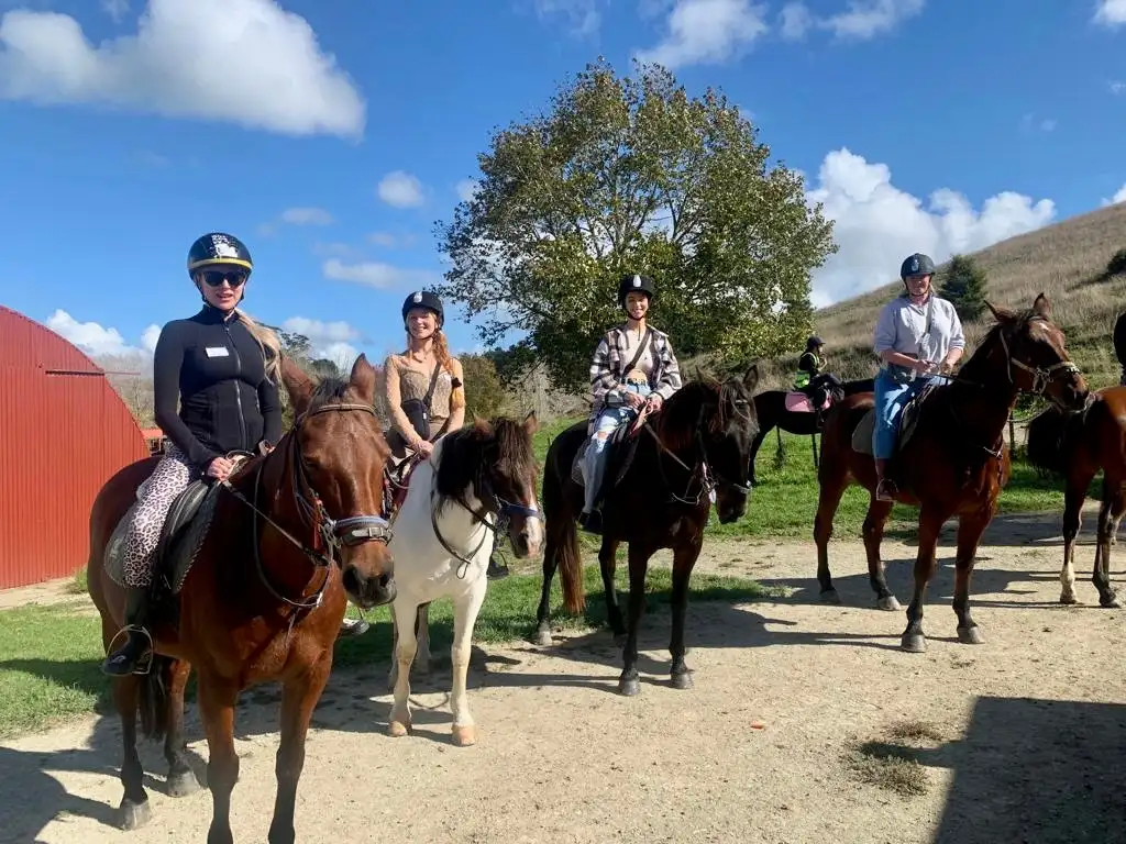 Horse Riding & Wine Tasting | Private Tour From Auckland