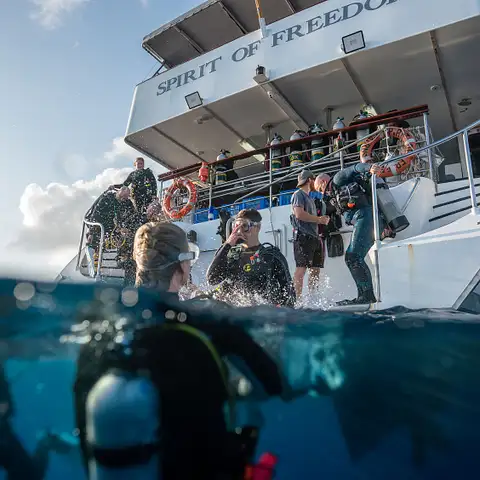 Great Barrier Reef Liveaboard Dive Trip Deals