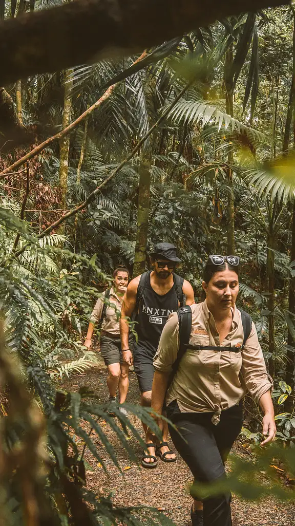 Platypus Paradise Tour | Day Tour from Mackay