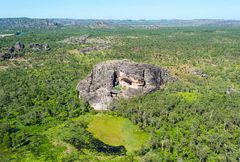 Kakadu in a Day Flight Tour deals