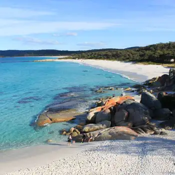 Tasmania's East Coast Tour (Start Launcenston Finish Hobart) - 2 Days
