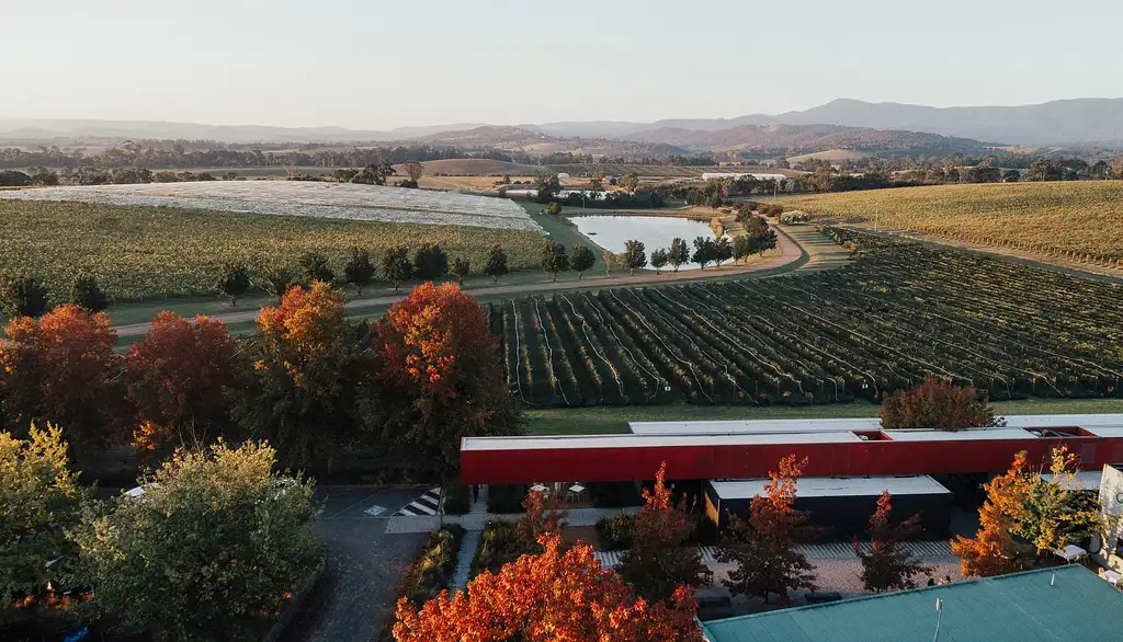 Yarra Valley Wineries Day Tour