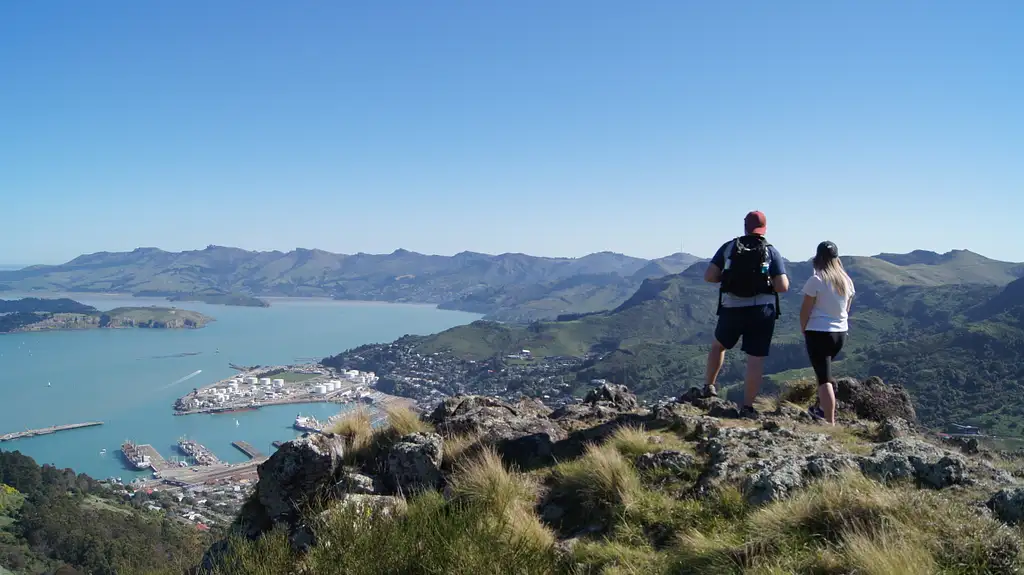 Christchurch Half-Day Guided Crater Rim Walk