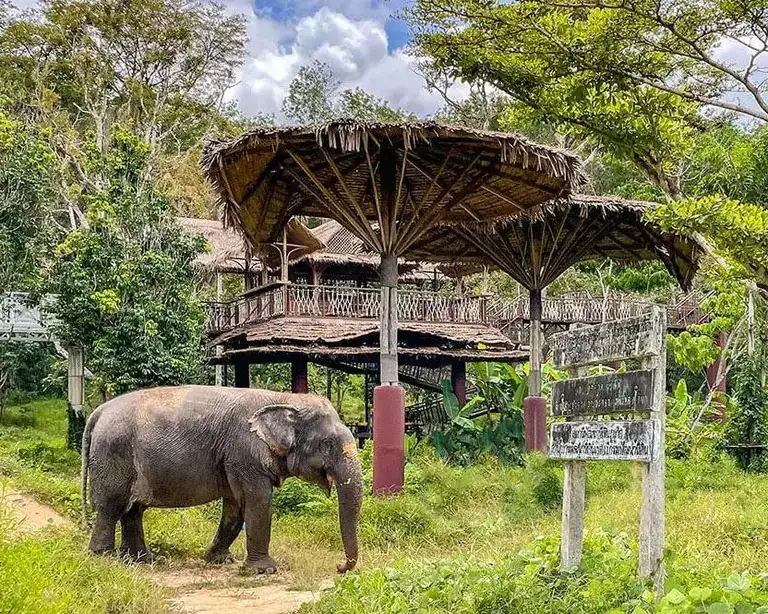 8 Day Thailand Vacay with Gabby "The Sequel" | 4 May 2025