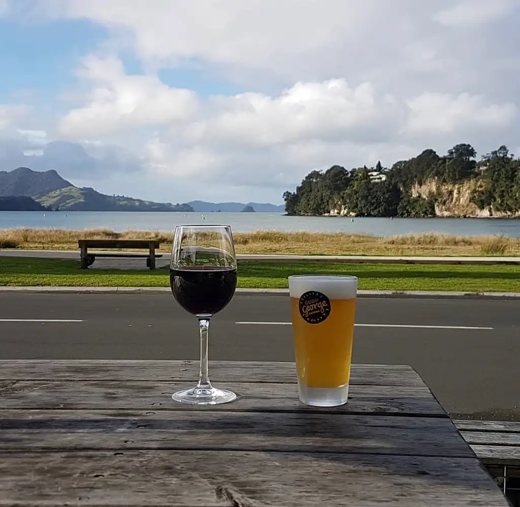 Whitianga Scenic Flight & Lunch