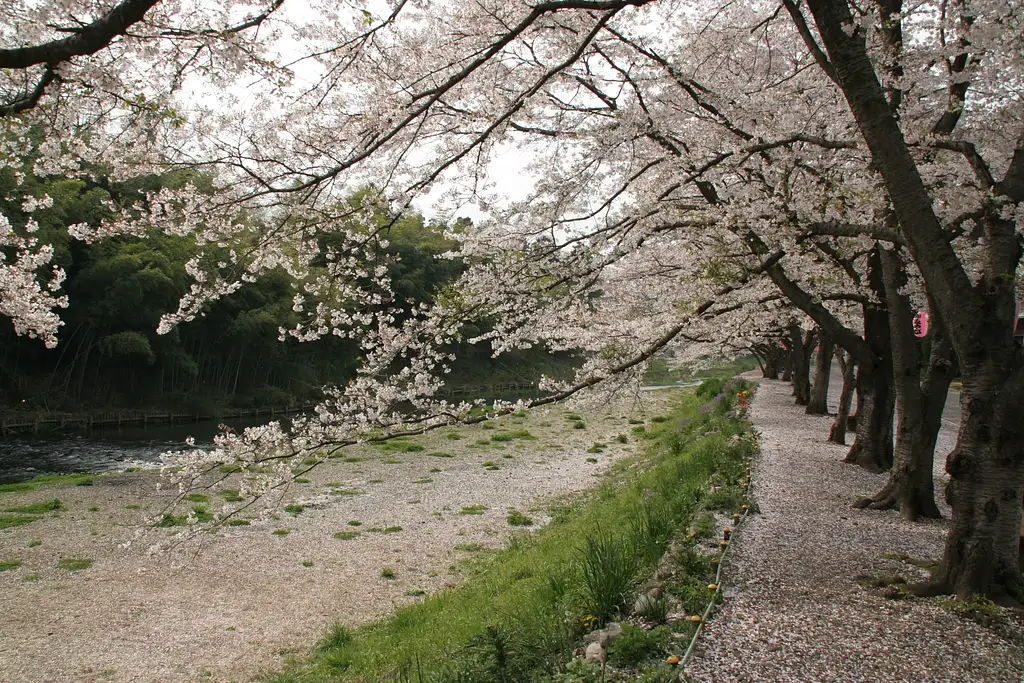 Cycling Tour in Hinode-machi, Tokyo