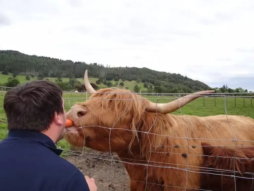 Loch Ness, Glen Coe And The Highlands Tour | From Edinburgh