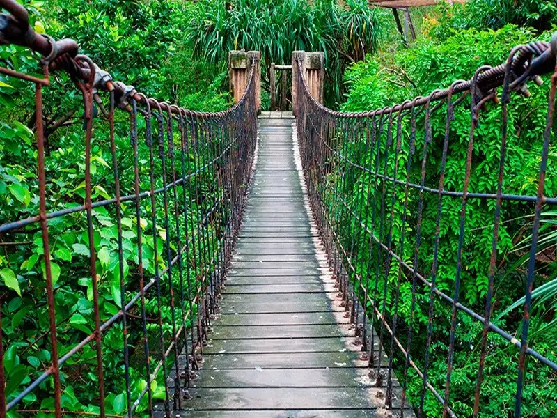 Cinco Ceibas + Adventure Park from San José