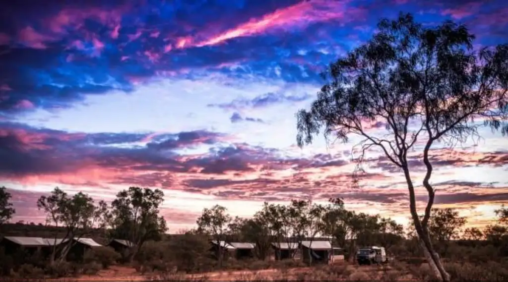 Start Alice Springs or Uluru 3 Day 2 Night Tent Accommodated Tour (Goanna)