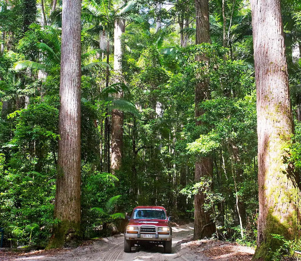 15 Day Australia East Coast Tour (Dingo) | Brisbane to Cairns | Stray